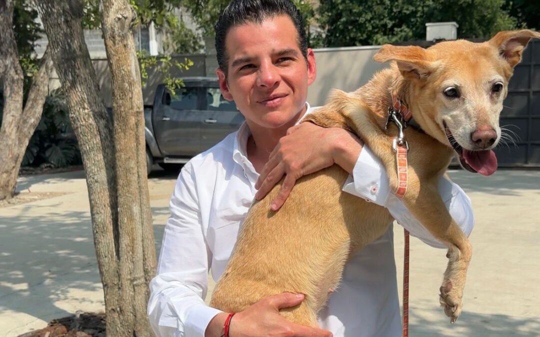 Adoptar una mascota transforma vidas: Miguel Flores