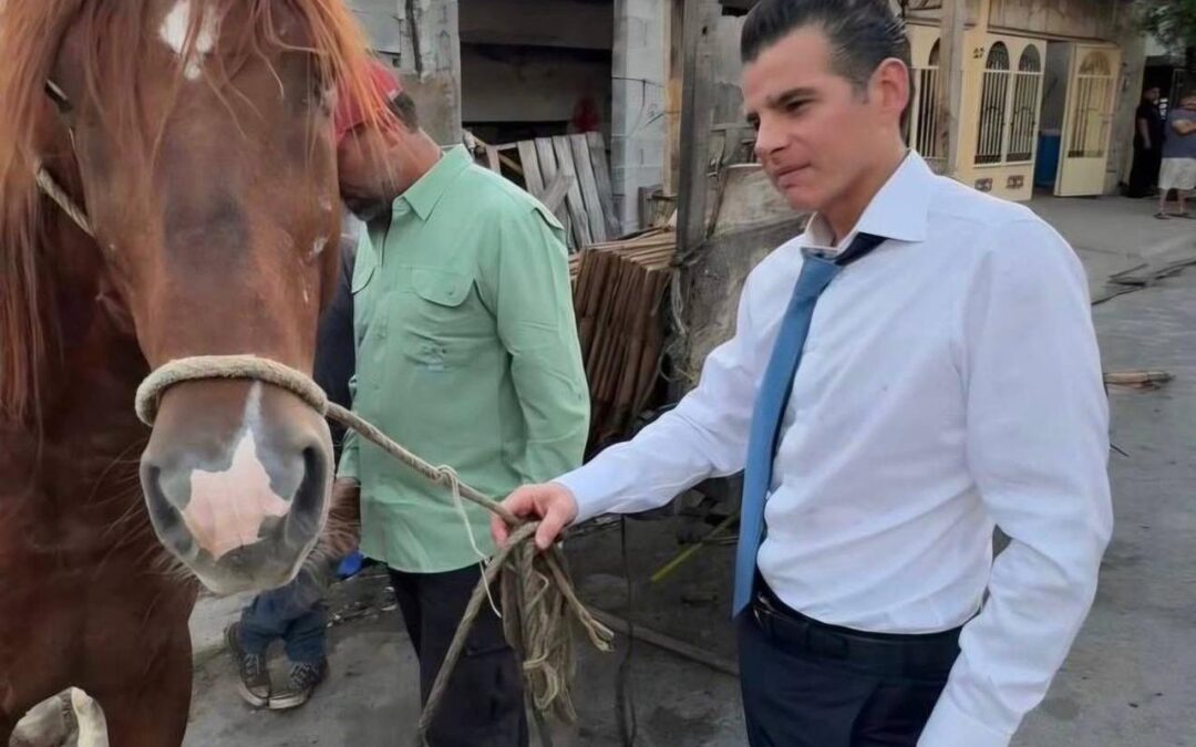 “Ha valido la pena cada esfuerzo”: Mike Flores impulsa rescate animal en Nuevo León