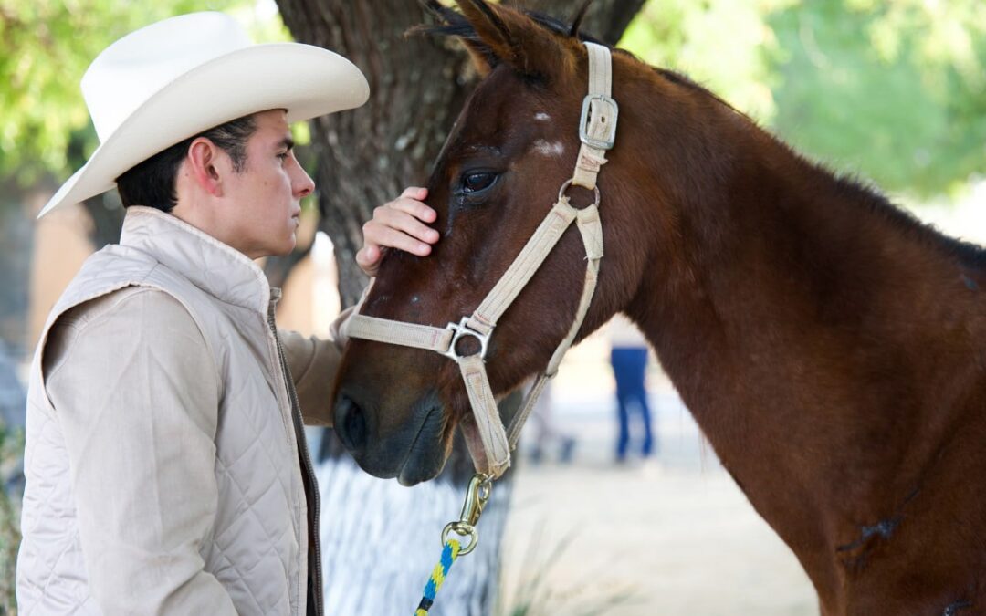 Mike Flores crea santuario para caballos rescatados que busca convertirse en el más grande de Latinoamérica